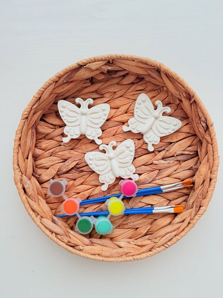Plaster Painting & Craft Kit